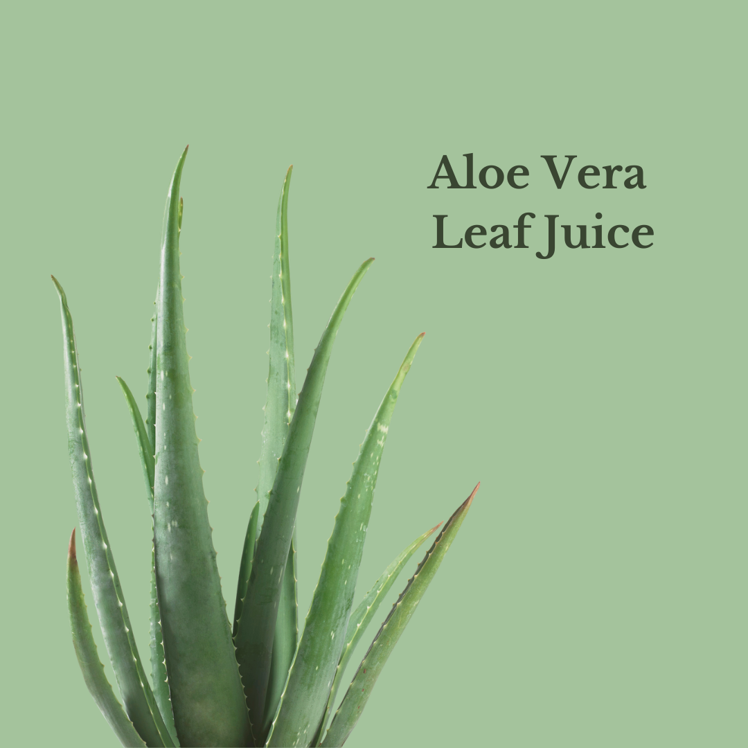 Natural Rosewater Facial Toner with Aloe Vera Leaf Juice for soothing and hydrating skin care
